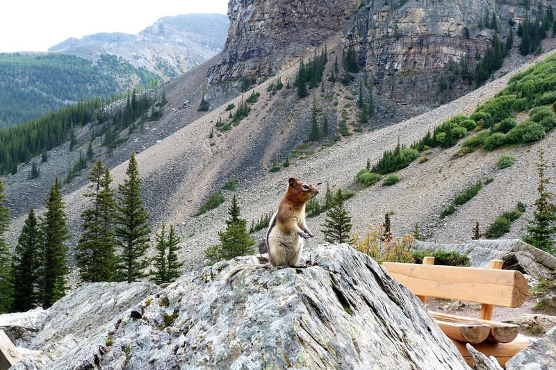 Banff National Park